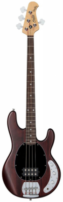 Sterling by Music Man StingRay RAY4 Walnut Satin i gruppen Strnginstrument / Bas hos Musikanten i Ume AB (1571057)