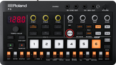 Roland P-6 Creative Sampler i gruppen Live & Studio / Sampler hos Musikanten i Ume AB (7-P6)