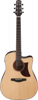 Ibanez AAD170CE-LGS Advanced Acoustic