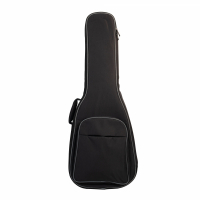 Pulse WEG2000 Gigbag Stålsträngad