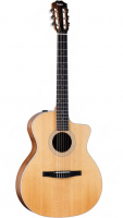 Taylor 214ce-N Grand Auditorium Nylon