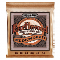 Ernie Ball Earthwood Phosphor Bronze 12-54