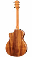 Taylor 214ce-K DLX Grand Auditorium Taylor 214ce-K DLX Grand Auditorium